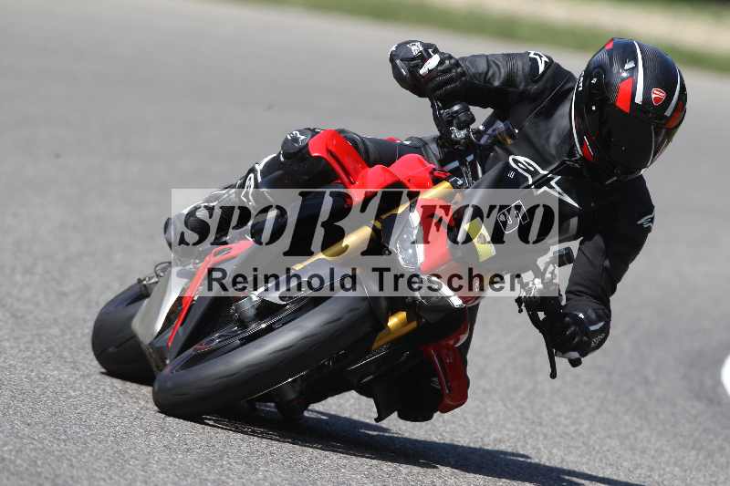 /46 11.08.2025 PADDYS-RACES-DAYS ADR/Sport-Profi/5